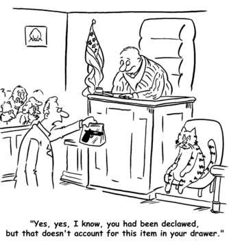 Lawyer presents cat on stand with a piece of evidence