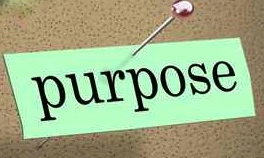 purposefunction