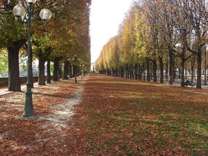 800px-Alley_along_the_Seine_Cours_Albert_1er