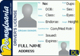 Pennsylvania-Drivers-License-1