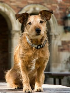 copy-of-110329_monty_2_custom-4e1219615ef545b9a39481e5c47da93b33a46350-s3-c85