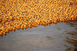 5583456438_159beaf8eb_z