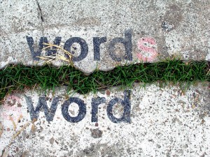 52668137_6c21e7c318_z