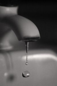 12169049_dcbed568fe_b